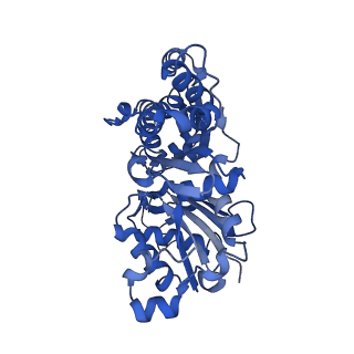 10366_6t24_D_v1-1
Cryo-EM structure of jasplakinolide-stabilized F-actin (aged)