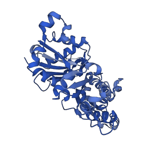 10367_6t25_A_v1-1
Cryo-EM structure of phalloidin-Alexa Flour-546-stabilized F-actin (copolymerized)