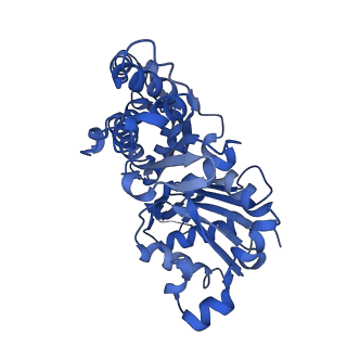 10367_6t25_B_v1-1
Cryo-EM structure of phalloidin-Alexa Flour-546-stabilized F-actin (copolymerized)