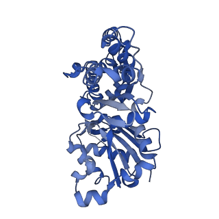 10367_6t25_D_v1-1
Cryo-EM structure of phalloidin-Alexa Flour-546-stabilized F-actin (copolymerized)