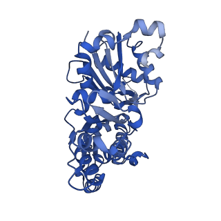 10367_6t25_E_v1-1
Cryo-EM structure of phalloidin-Alexa Flour-546-stabilized F-actin (copolymerized)