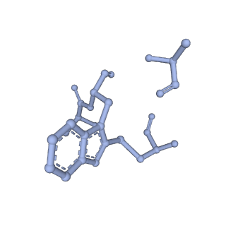 10367_6t25_F_v1-1
Cryo-EM structure of phalloidin-Alexa Flour-546-stabilized F-actin (copolymerized)