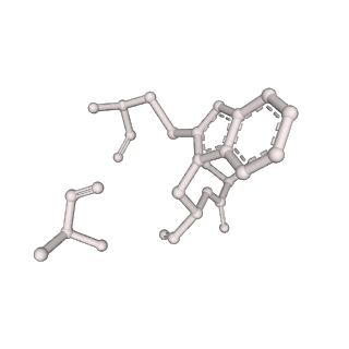 10367_6t25_G_v1-1
Cryo-EM structure of phalloidin-Alexa Flour-546-stabilized F-actin (copolymerized)
