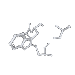 10367_6t25_H_v1-1
Cryo-EM structure of phalloidin-Alexa Flour-546-stabilized F-actin (copolymerized)