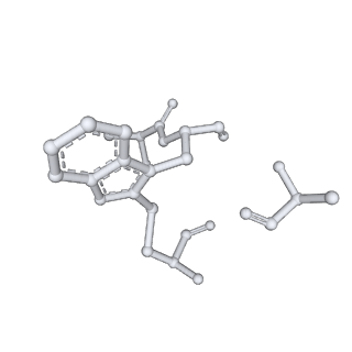10367_6t25_J_v1-1
Cryo-EM structure of phalloidin-Alexa Flour-546-stabilized F-actin (copolymerized)