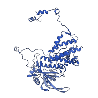 10368_6t2c_A_v1-2
Bat Influenza A polymerase recycling complex