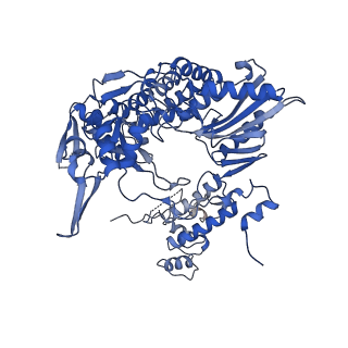 10368_6t2c_B_v1-2
Bat Influenza A polymerase recycling complex
