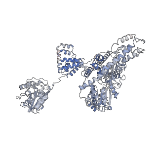 10369_6t2u_B_v1-1
Cryo-EM structure of the RecBCD in complex with Chi-minus2 substrate