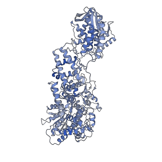 10369_6t2u_C_v1-1
Cryo-EM structure of the RecBCD in complex with Chi-minus2 substrate