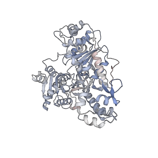10369_6t2u_D_v1-1
Cryo-EM structure of the RecBCD in complex with Chi-minus2 substrate
