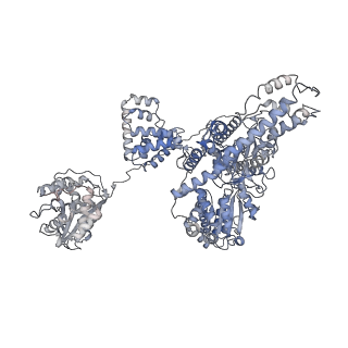 10370_6t2v_B_v1-1
Cryo-EM structure of the RecBCD in complex with Chi-plus2 substrate
