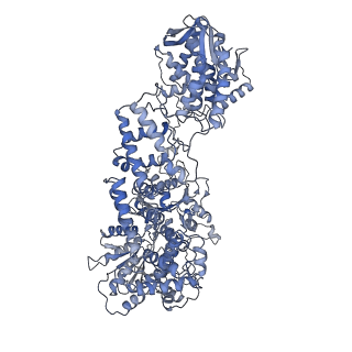 10370_6t2v_C_v1-1
Cryo-EM structure of the RecBCD in complex with Chi-plus2 substrate