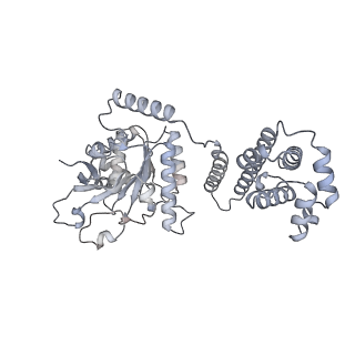 25607_7t20_E_v1-0
E. coli DnaB bound to ssDNA and AMPPNP