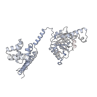 25609_7t22_B_v1-1
E. coli DnaB bound to three DnaG C-terminal domains, ssDNA, ADP and AlF4