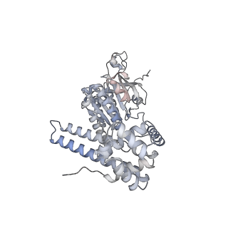 25609_7t22_E_v1-1
E. coli DnaB bound to three DnaG C-terminal domains, ssDNA, ADP and AlF4