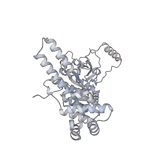 25609_7t22_F_v1-1
E. coli DnaB bound to three DnaG C-terminal domains, ssDNA, ADP and AlF4