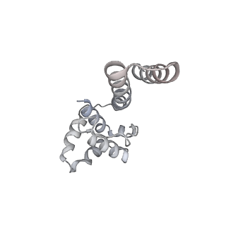 25609_7t22_I_v1-1
E. coli DnaB bound to three DnaG C-terminal domains, ssDNA, ADP and AlF4