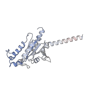 25612_7t2g_A_v1-1
CryoEM structure of mu-opioid receptor - Gi protein complex bound to mitragynine pseudoindoxyl (MP)