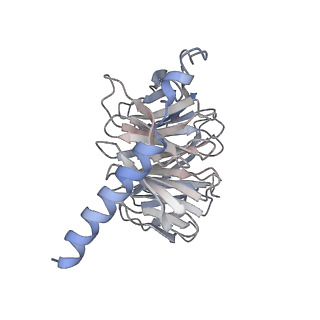 25612_7t2g_B_v1-1
CryoEM structure of mu-opioid receptor - Gi protein complex bound to mitragynine pseudoindoxyl (MP)