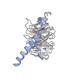 25612_7t2g_B_v2-0
CryoEM structure of mu-opioid receptor - Gi protein complex bound to mitragynine pseudoindoxyl (MP)