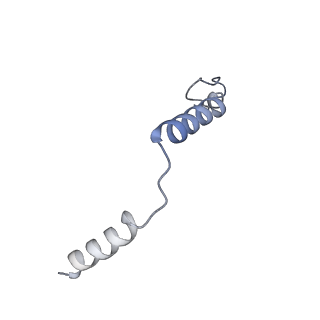 25612_7t2g_C_v1-1
CryoEM structure of mu-opioid receptor - Gi protein complex bound to mitragynine pseudoindoxyl (MP)