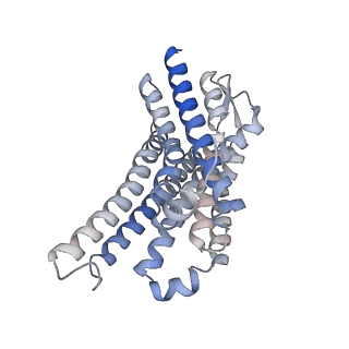 25612_7t2g_R_v1-1
CryoEM structure of mu-opioid receptor - Gi protein complex bound to mitragynine pseudoindoxyl (MP)