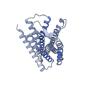 25613_7t2h_D_v1-1
CryoEM structure of mu-opioid receptor - Gi protein complex bound to lofentanil (LFT)