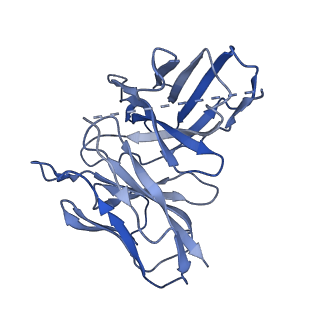 25613_7t2h_E_v1-1
CryoEM structure of mu-opioid receptor - Gi protein complex bound to lofentanil (LFT)