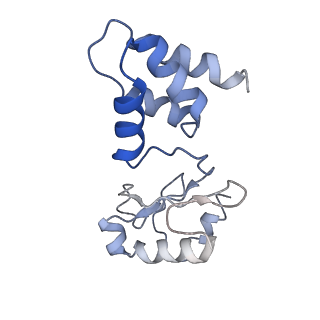 25633_7t2r_C_v1-0
Structure of electron bifurcating Ni-Fe hydrogenase complex HydABCSL in FMN-free apo state