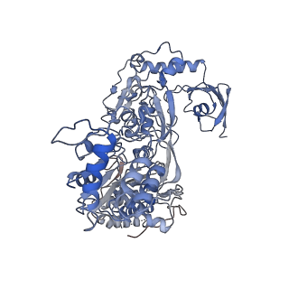 25633_7t2r_F_v1-0
Structure of electron bifurcating Ni-Fe hydrogenase complex HydABCSL in FMN-free apo state