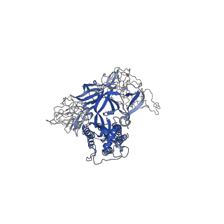 40977_8t21_B_v1-0
Cryo-EM structure of mink variant Y453F trimeric spike protein