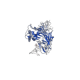 40977_8t21_C_v1-0
Cryo-EM structure of mink variant Y453F trimeric spike protein