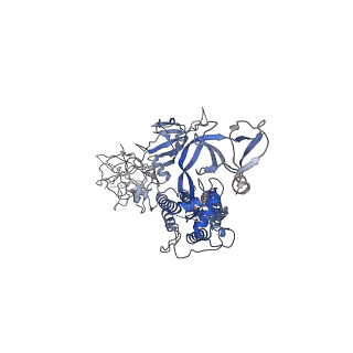 40978_8t22_B_v1-0
Cryo-EM structure of mink variant Y453F trimeric spike protein bound to one mink ACE2 receptors at downRBD conformation