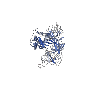 40978_8t22_C_v1-0
Cryo-EM structure of mink variant Y453F trimeric spike protein bound to one mink ACE2 receptors at downRBD conformation