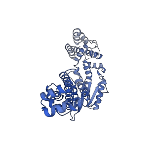40985_8t2r_D_v1-2
Structure of a group II intron ribonucleoprotein in the pre-ligation (pre-2F) state