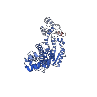 40986_8t2s_D_v1-2
Structure of a group II intron ribonucleoprotein in the pre-branching (pre-1F) state