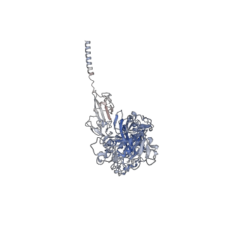 40989_8t2v_B_v1-0
Cryo-EM Structures of Full-length Integrin alphaIIbbeta3 in Native Lipids