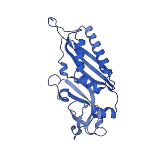 8343_5t2a_0_v1-1
CryoEM structure of the Leishmania donovani 80S ribosome at 2.9 Angstrom resolution