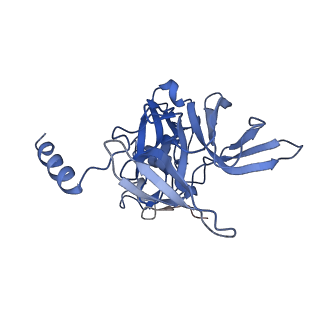 8343_5t2a_1_v1-1
CryoEM structure of the Leishmania donovani 80S ribosome at 2.9 Angstrom resolution