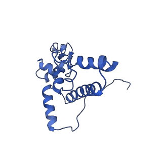 8343_5t2a_6_v1-1
CryoEM structure of the Leishmania donovani 80S ribosome at 2.9 Angstrom resolution