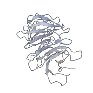 8343_5t2a_7_v1-1
CryoEM structure of the Leishmania donovani 80S ribosome at 2.9 Angstrom resolution