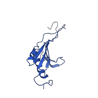 8343_5t2a_AH_v1-1
CryoEM structure of the Leishmania donovani 80S ribosome at 2.9 Angstrom resolution
