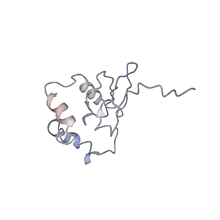 8343_5t2a_AI_v1-1
CryoEM structure of the Leishmania donovani 80S ribosome at 2.9 Angstrom resolution