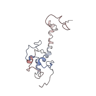 8343_5t2a_AM_v1-1
CryoEM structure of the Leishmania donovani 80S ribosome at 2.9 Angstrom resolution