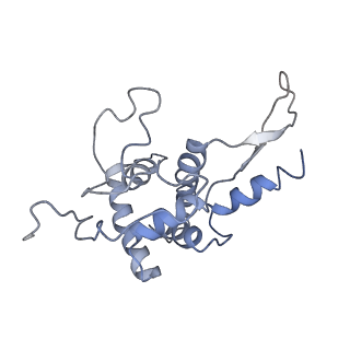 8343_5t2a_AN_v1-1
CryoEM structure of the Leishmania donovani 80S ribosome at 2.9 Angstrom resolution