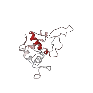 8343_5t2a_AO_v1-1
CryoEM structure of the Leishmania donovani 80S ribosome at 2.9 Angstrom resolution