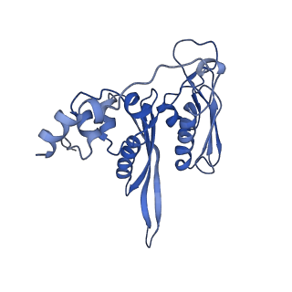 8343_5t2a_AP_v1-1
CryoEM structure of the Leishmania donovani 80S ribosome at 2.9 Angstrom resolution