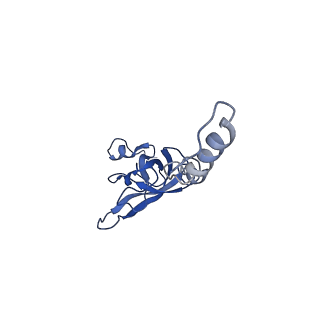8343_5t2a_AS_v1-1
CryoEM structure of the Leishmania donovani 80S ribosome at 2.9 Angstrom resolution