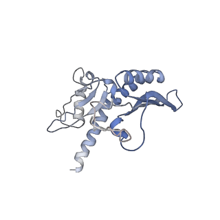 8343_5t2a_AX_v1-1
CryoEM structure of the Leishmania donovani 80S ribosome at 2.9 Angstrom resolution