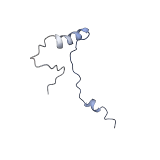 8343_5t2a_AY_v1-1
CryoEM structure of the Leishmania donovani 80S ribosome at 2.9 Angstrom resolution